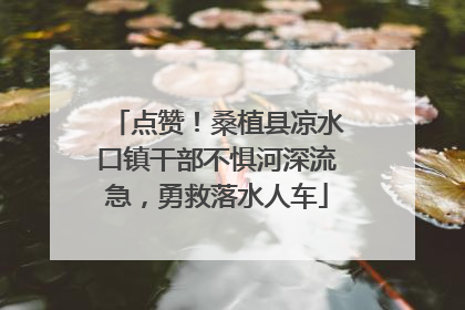 点赞！桑植县凉水口镇干部不惧河深流急，勇救落水人车