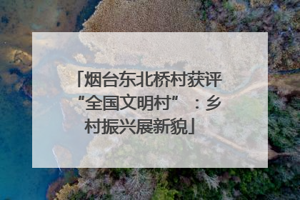 烟台东北桥村获评“全国文明村”：乡村振兴展新貌