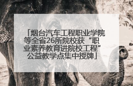 烟台汽车工程职业学院等全省26所院校获“职业素养教育进院校工程”公益教学点集中授牌