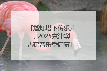 燃灯塔下传乐声，2025京津冀古建音乐季启幕