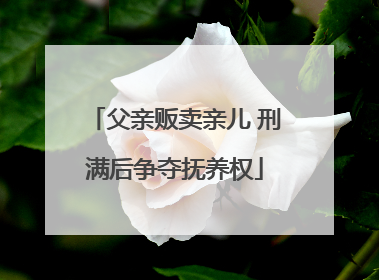 父亲贩卖亲儿 刑满后争夺抚养权