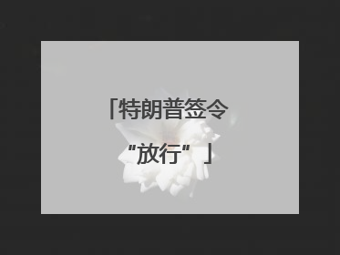 特朗普签令“放行”