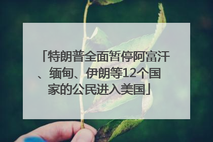 特朗普全面暂停阿富汗、缅甸、伊朗等12个国家的公民进入美国