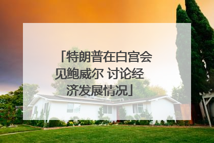 特朗普在白宫会见鲍威尔 讨论经济发展情况