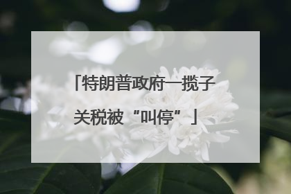 特朗普政府一揽子关税被“叫停”