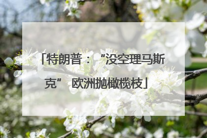 特朗普：“没空理马斯克” 欧洲抛橄榄枝