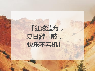 狂炫蓝莓，夏日游黄陂，快乐不宕机