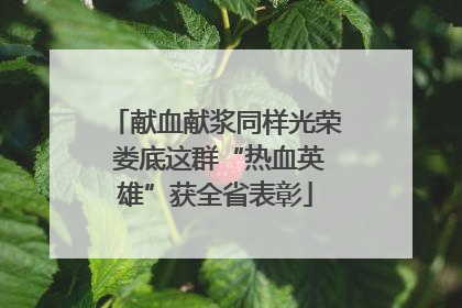 献血献浆同样光荣 娄底这群“热血英雄”获全省表彰