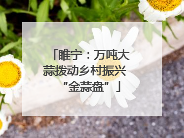 睢宁：万吨大蒜拨动乡村振兴“金蒜盘”