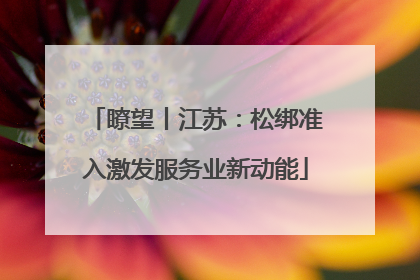 瞭望丨江苏：松绑准入激发服务业新动能