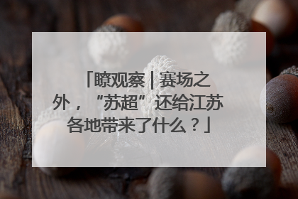瞭观察 | 赛场之外，“苏超”还给江苏各地带来了什么？