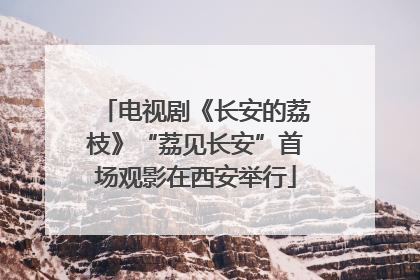 电视剧《长安的荔枝》“荔见长安”首场观影在西安举行