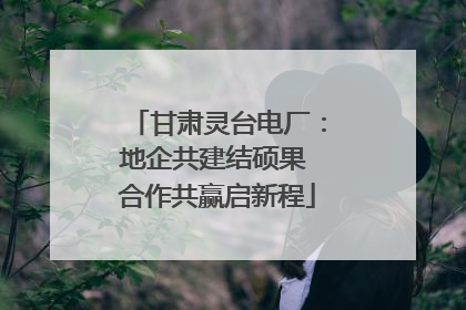 甘肃灵台电厂：地企共建结硕果 合作共赢启新程