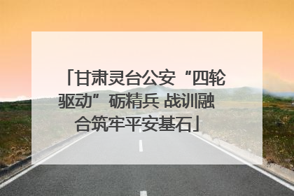 甘肃灵台公安“四轮驱动”砺精兵 战训融合筑牢平安基石