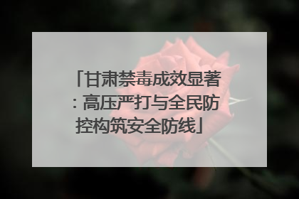 甘肃禁毒成效显著：高压严打与全民防控构筑安全防线