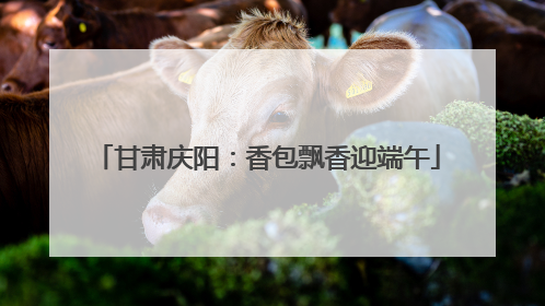 甘肃庆阳：香包飘香迎端午