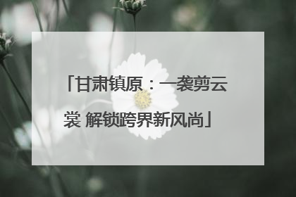 甘肃镇原：一袭剪云裳 解锁跨界新风尚