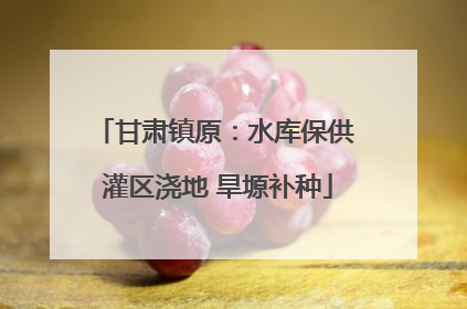 甘肃镇原：水库保供 灌区浇地 旱塬补种