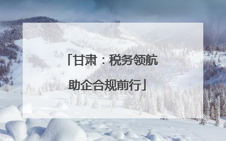 甘肃：税务领航 助企合规前行