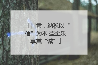 甘肃：纳税以“信”为本 益企乐享其“诚”
