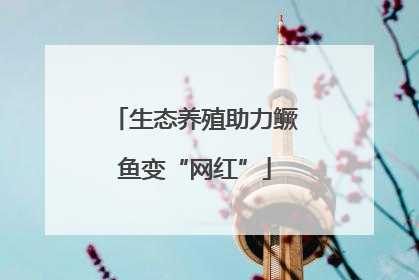 生态养殖助力鳜鱼变“网红”