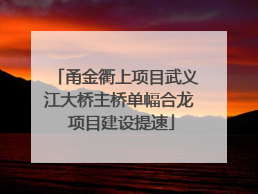 甬金衢上项目武义江大桥主桥单幅合龙 项目建设提速
