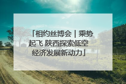 相约丝博会｜乘势起飞 陕西探索低空经济发展新动力