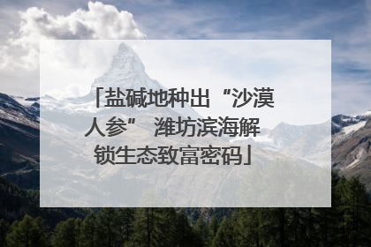 盐碱地种出“沙漠人参” 潍坊滨海解锁生态致富密码