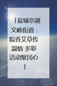 盐城亭湖文峰街道：粽香艾草传温情 多彩活动聚民心