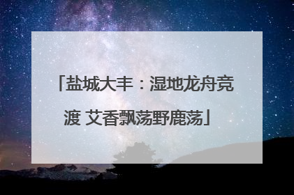 盐城大丰：湿地龙舟竞渡 艾香飘荡野鹿荡