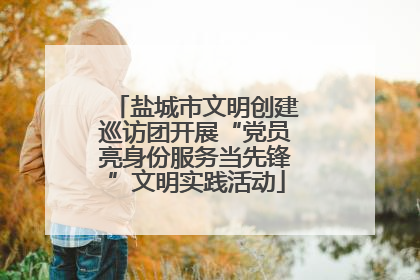 盐城市文明创建巡访团开展“党员亮身份服务当先锋”文明实践活动