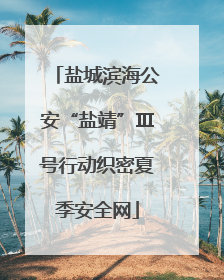 盐城滨海公安“盐靖”Ⅲ号行动织密夏季安全网