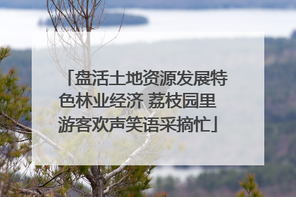 盘活土地资源发展特色林业经济 荔枝园里游客欢声笑语采摘忙