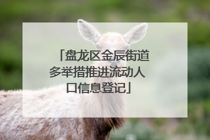 盘龙区金辰街道多举措推进流动人口信息登记