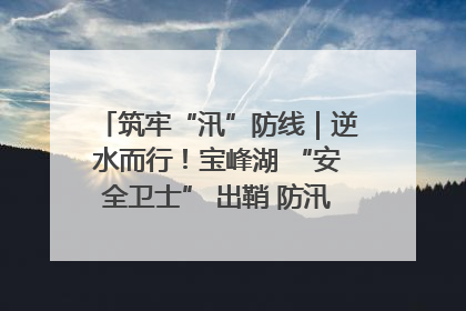 筑牢“汛”防线｜逆水而行！宝峰湖 “安全卫士” 出鞘 防汛应急再添硬核力量