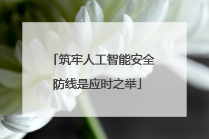 筑牢人工智能安全防线是应时之举