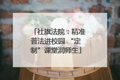 社旗法院：精准普法进校园 “定制”课堂润师生