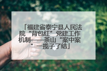 福建省泰宁县人民法院“背包红”党建工作机制——茶山“案中案”一揽子了结