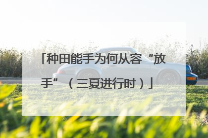 种田能手为何从容“放手”（三夏进行时）