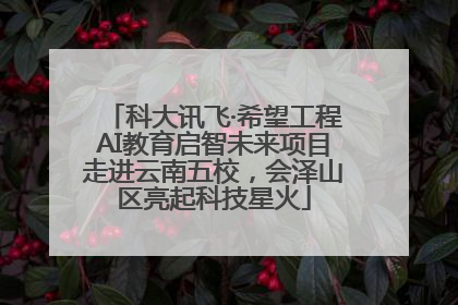 科大讯飞·希望工程AI教育启智未来项目走进云南五校，会泽山区亮起科技星火