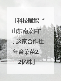 科技赋能“山东南菜园”，这家合作社年育菜苗2.2亿株