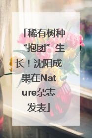稀有树种“抱团”生长！沈阳成果在Nature杂志发表