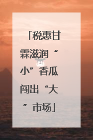 税惠甘霖滋润“小”香瓜闯出“大”市场