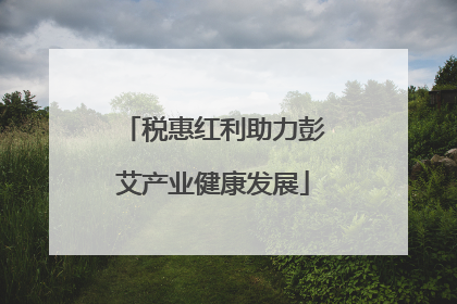 税惠红利助力彭艾产业健康发展