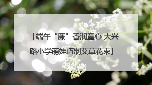 端午“廉”香润童心 大兴路小学萌娃巧制艾草花束