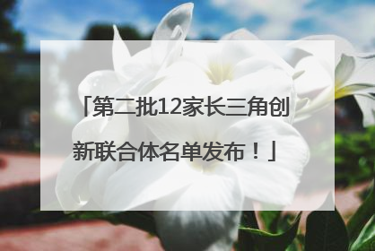 第二批12家长三角创新联合体名单发布！
