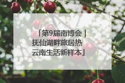 第9届南博会｜抚仙湖畔旅居热 云南生活新样本