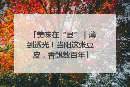 美味在“县”｜薄到透光！当阳这张豆皮，香飘数百年