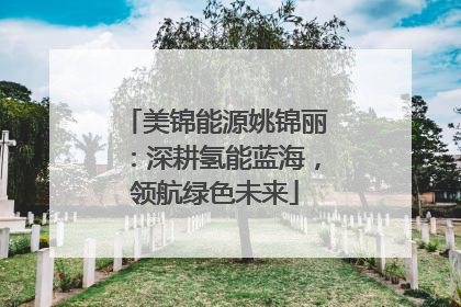 美锦能源姚锦丽：深耕氢能蓝海，领航绿色未来