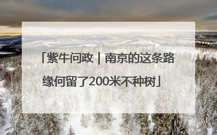 紫牛问政｜南京的这条路缘何留了200米不种树